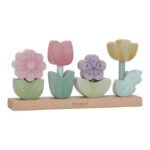 Staplerblumen Fairy Garden FSC