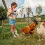 Little Dutch Kuschelpuppe Holländische Rosa 35cm - Image 3