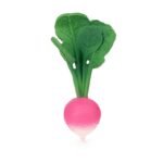 Oli&Carol Beissring|Ramona the Radish_Hauptbild